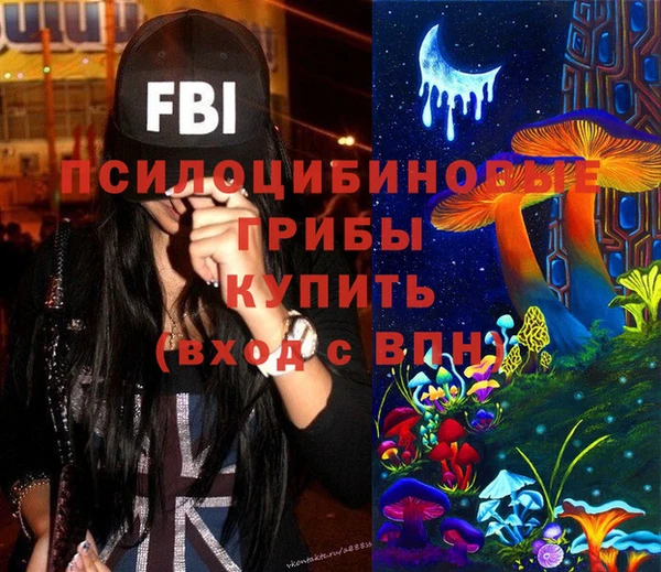 apvp Алзамай