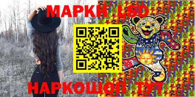 кокс Моздок