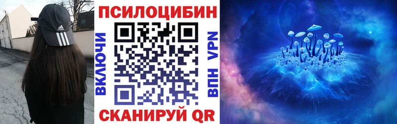 KRAKEN ONION  Звенигород  Псилоцибиновые грибы мухоморы 
