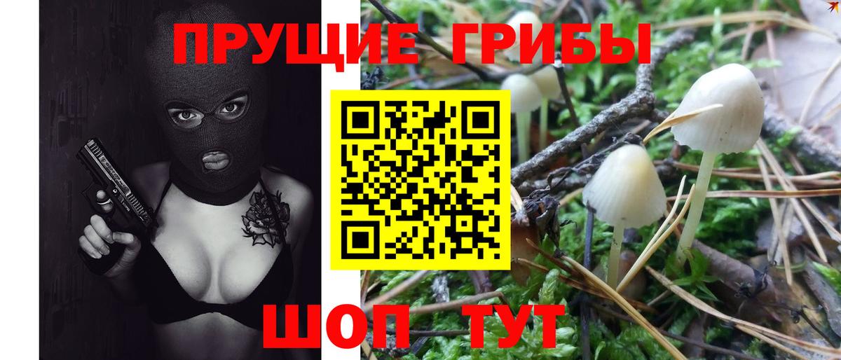 Галлюциногенные грибы Magic Shrooms  Вход с VPN  Звенигород  Псилоцибиновые грибы мицелий 