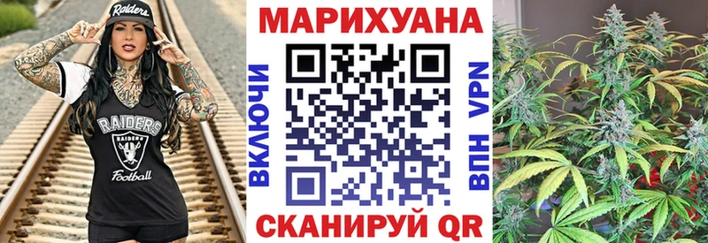 Конопля гибрид  Звенигород 